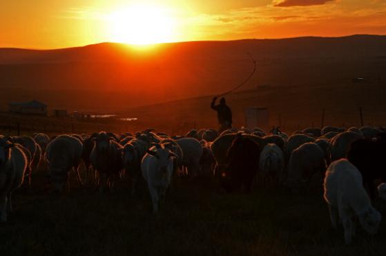 Land reform in South Africa: 5 myths about farming debunked